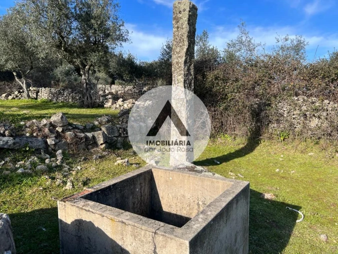Terreno para Venda em Alcains Foto 9