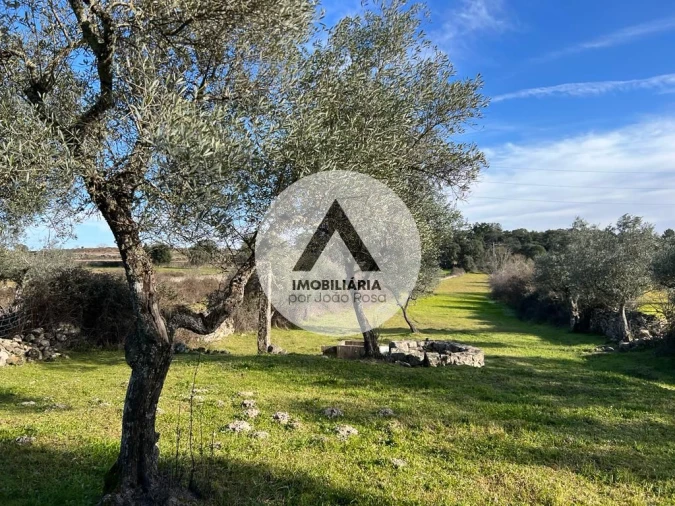 Terreno para Venda em Alcains Foto 6