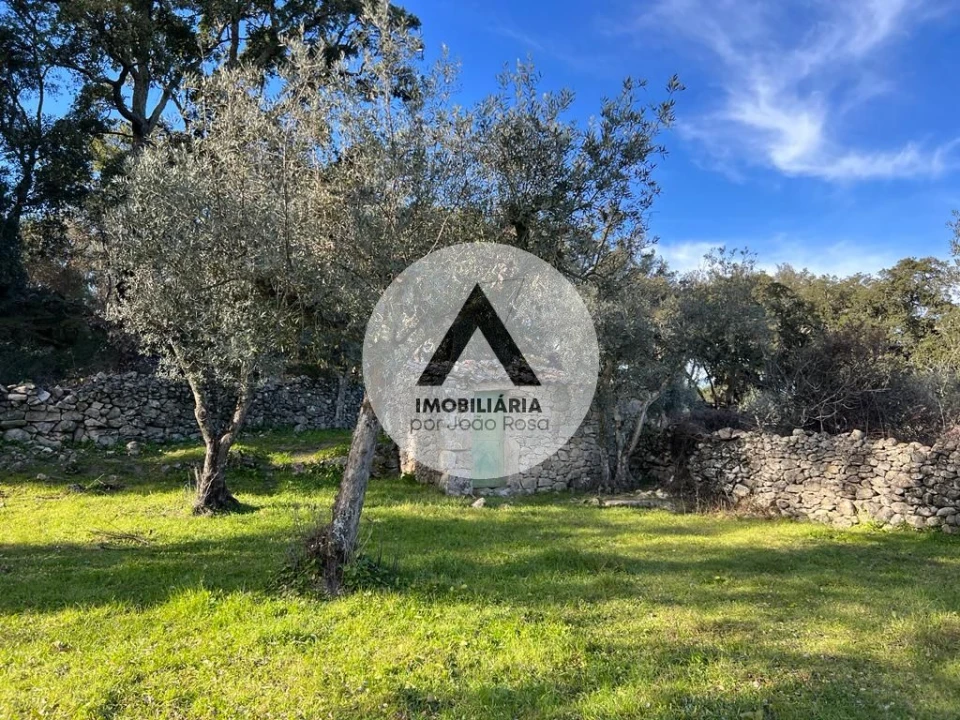 Terreno para Venda em Alcains Foto 1