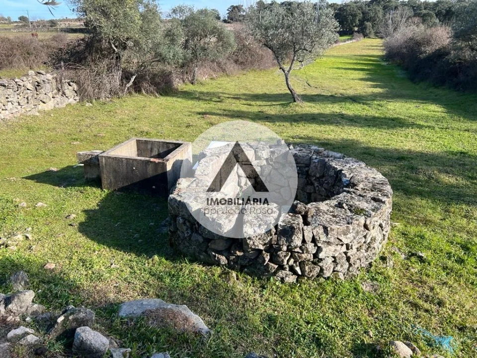 Terreno para Venda em Alcains Foto 7