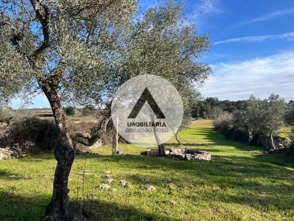 Terreno para Venda em Alcains Foto 6