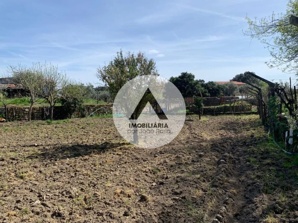 Terreno para Venda em Castelo Branco Foto 17