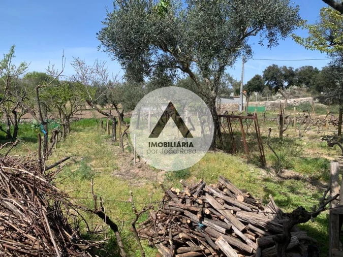 Terreno para Venda em Castelo Branco Foto 35