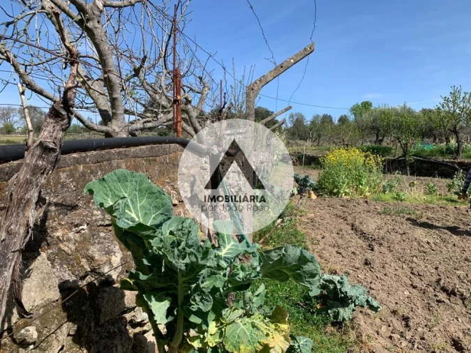 Terreno para Venda em Castelo Branco Foto 19