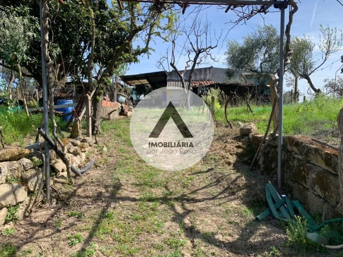 Terreno para Venda em Castelo Branco Foto 24
