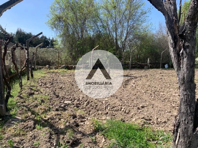 Terreno para Venda em Castelo Branco Foto 14
