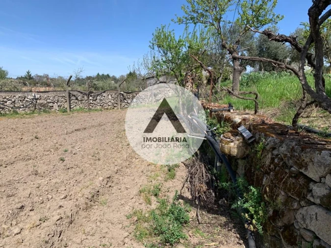 Terreno para Venda em Castelo Branco Foto 20