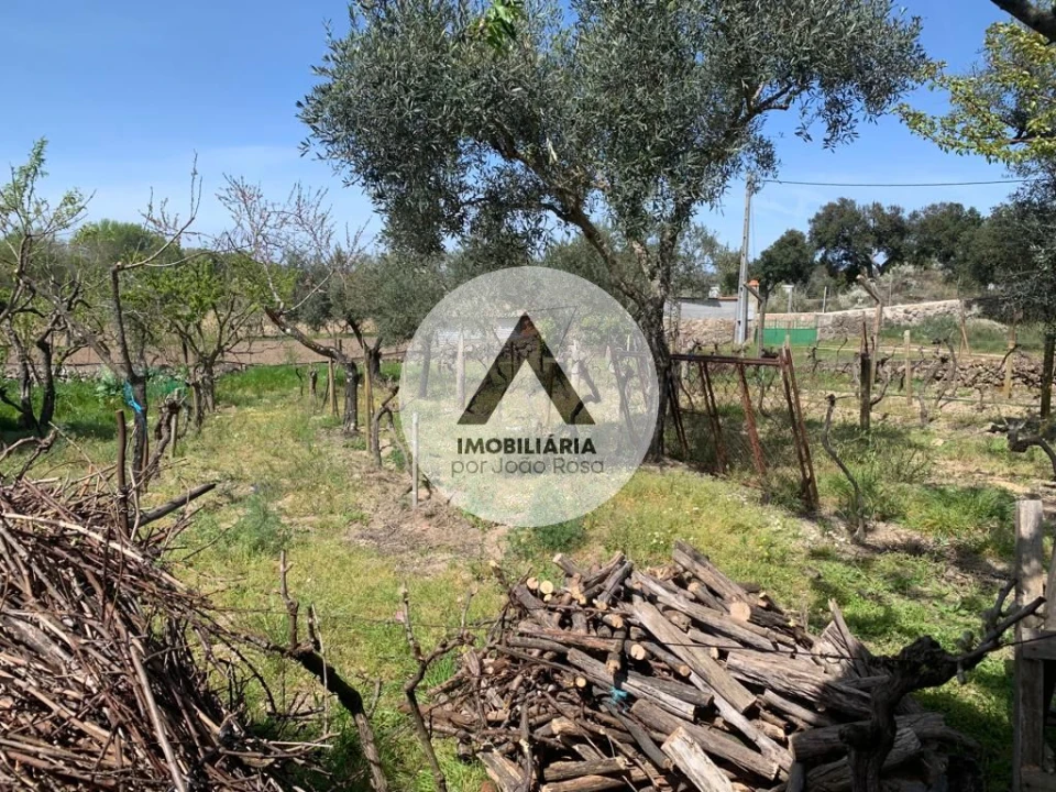 Terreno para Venda em Castelo Branco Foto 35