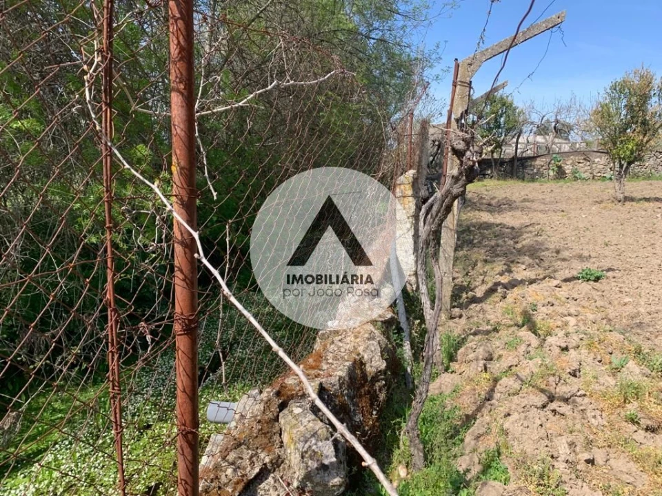 Terreno para Venda em Castelo Branco Foto 23