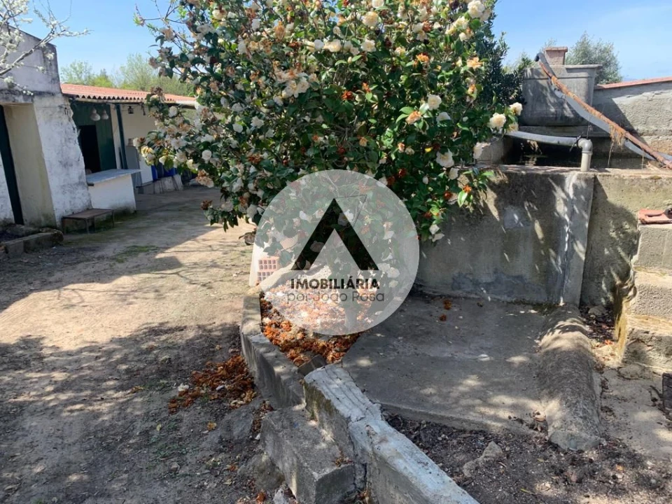 Terreno para Venda em Castelo Branco Foto 2