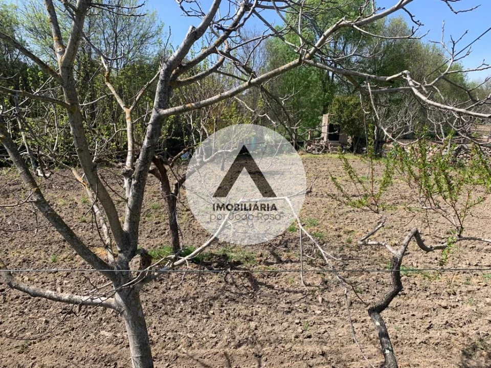 Terreno para Venda em Castelo Branco Foto 16