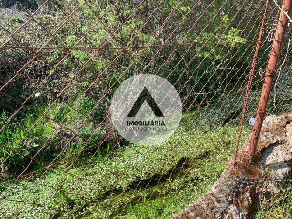 Terreno para Venda em Castelo Branco Foto 13
