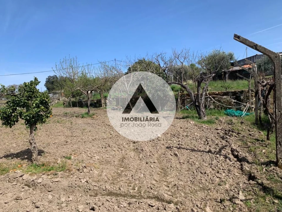 Terreno para Venda em Castelo Branco Foto 21
