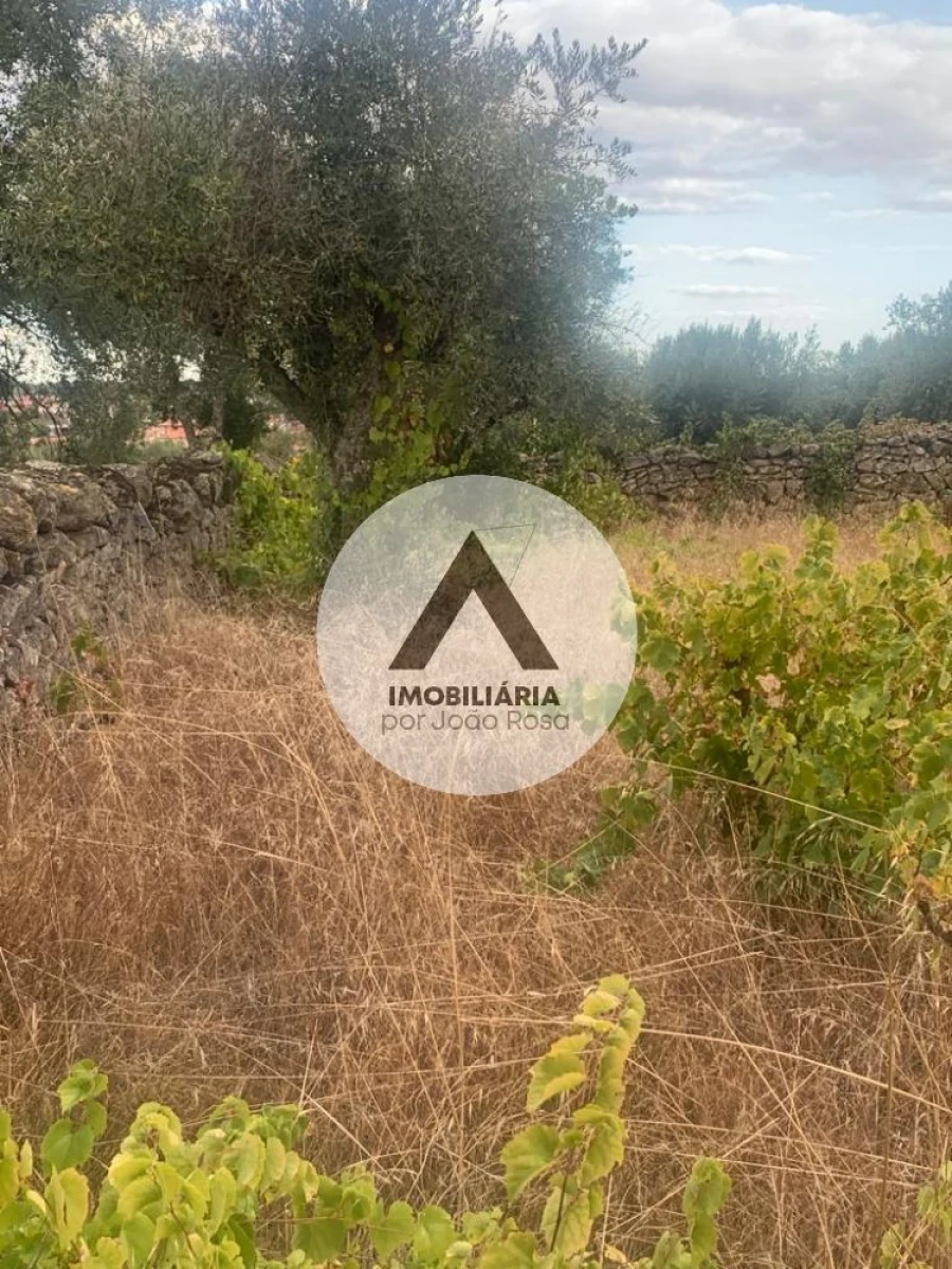 Terreno para Venda em Alcains Foto 14