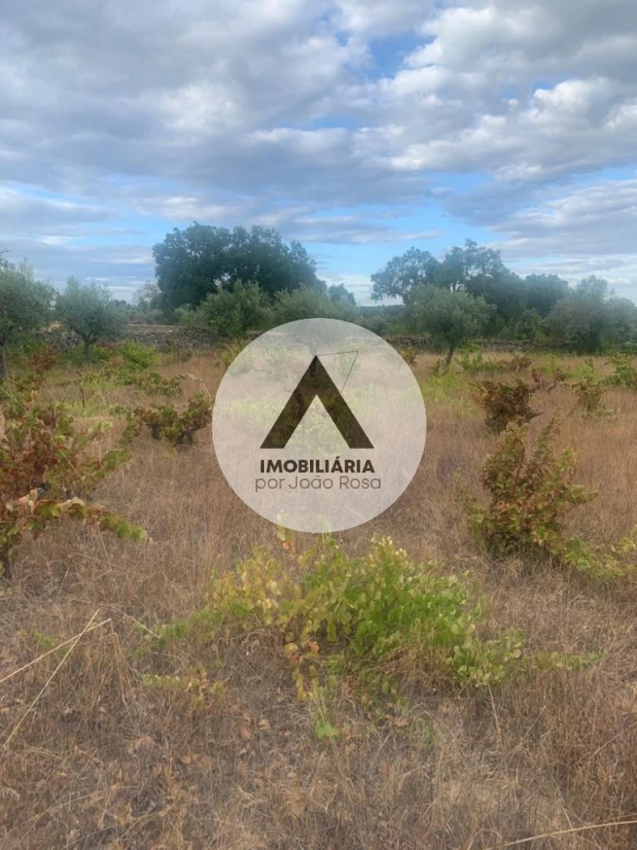 Terreno para Venda em Alcains Foto 10