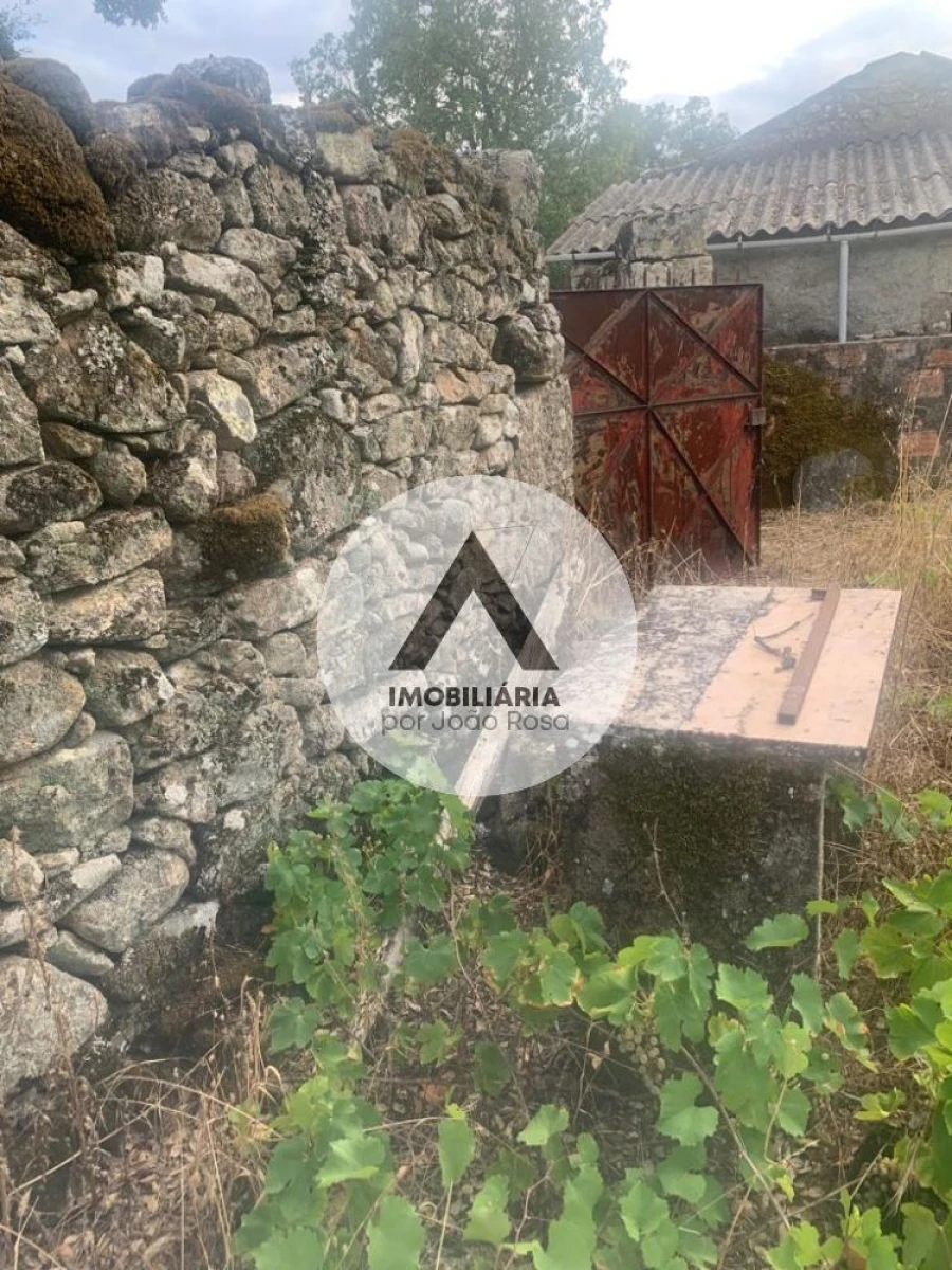 Terreno para Venda em Alcains Foto 8