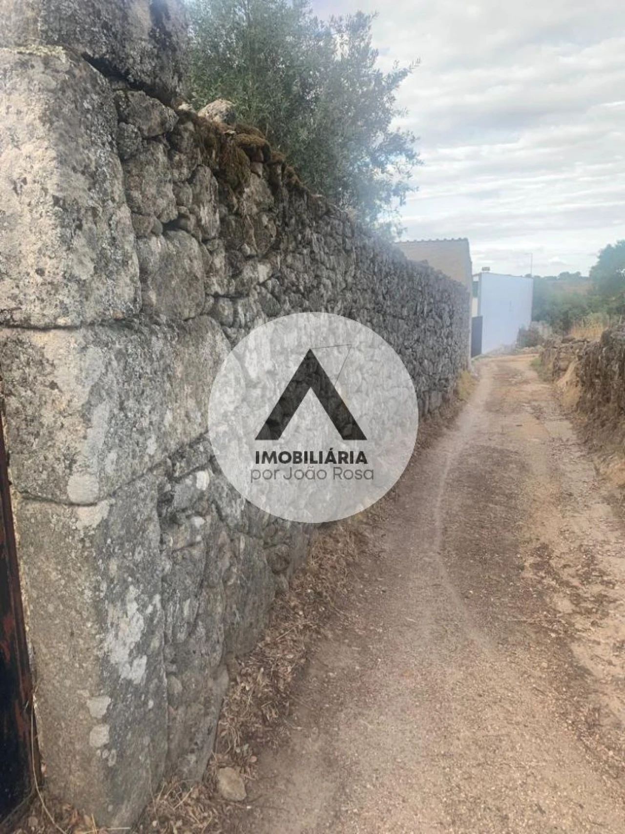 Terreno para Venda em Alcains Foto 12