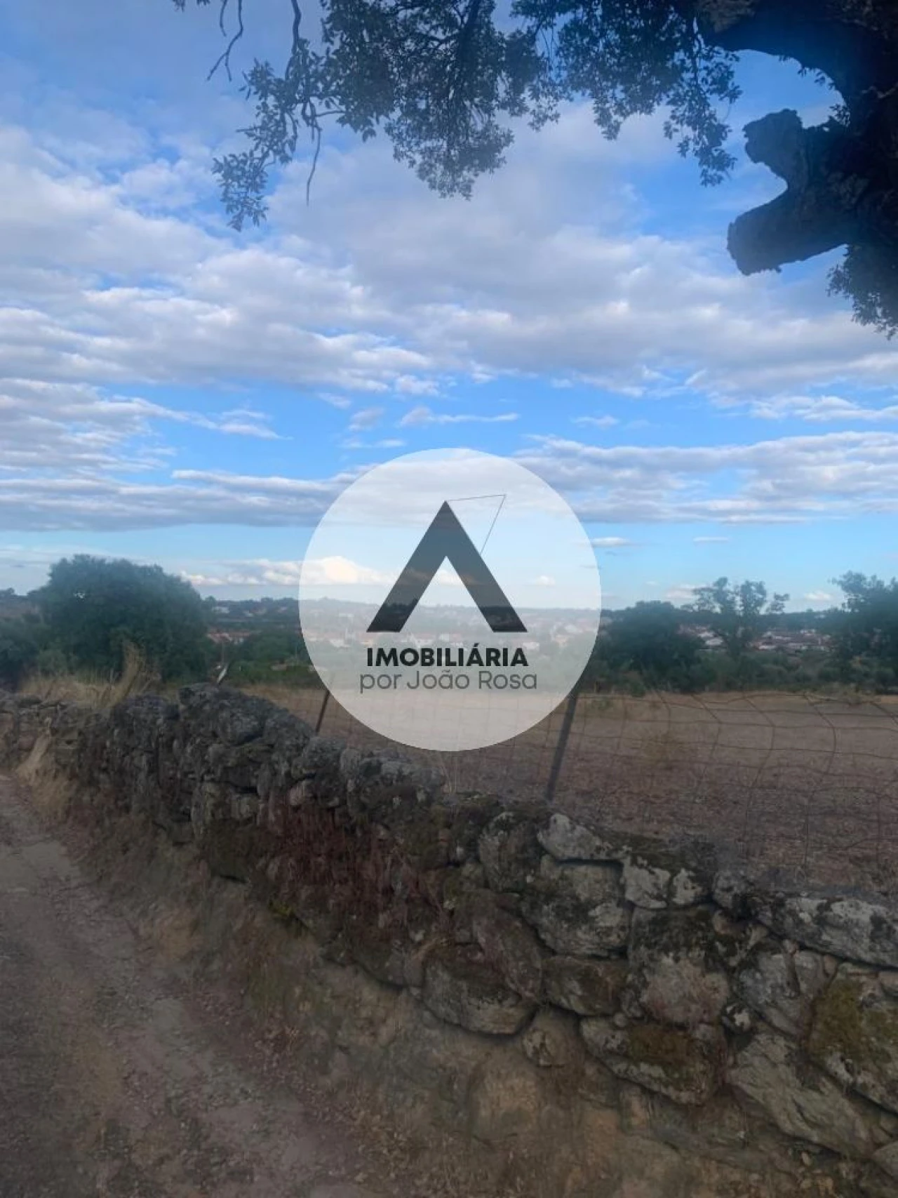 Terreno para Venda em Alcains Foto 4