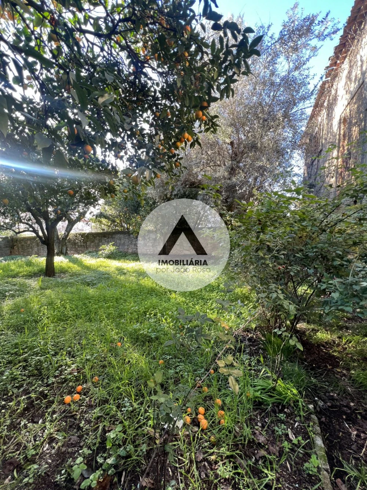 Moradia T3 para Venda em Castelo Branco Foto 18