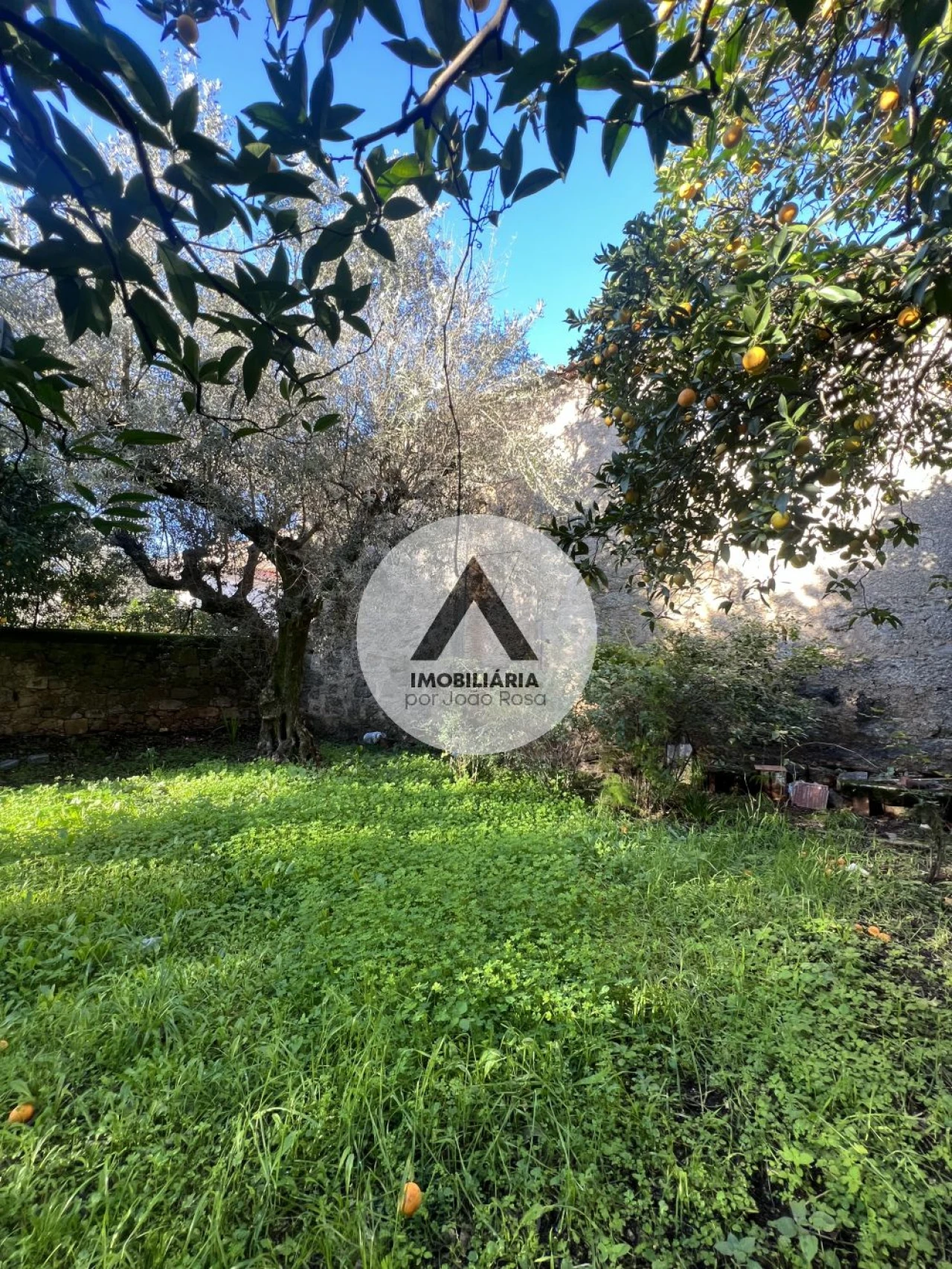 Moradia T3 para Venda em Castelo Branco Foto 20