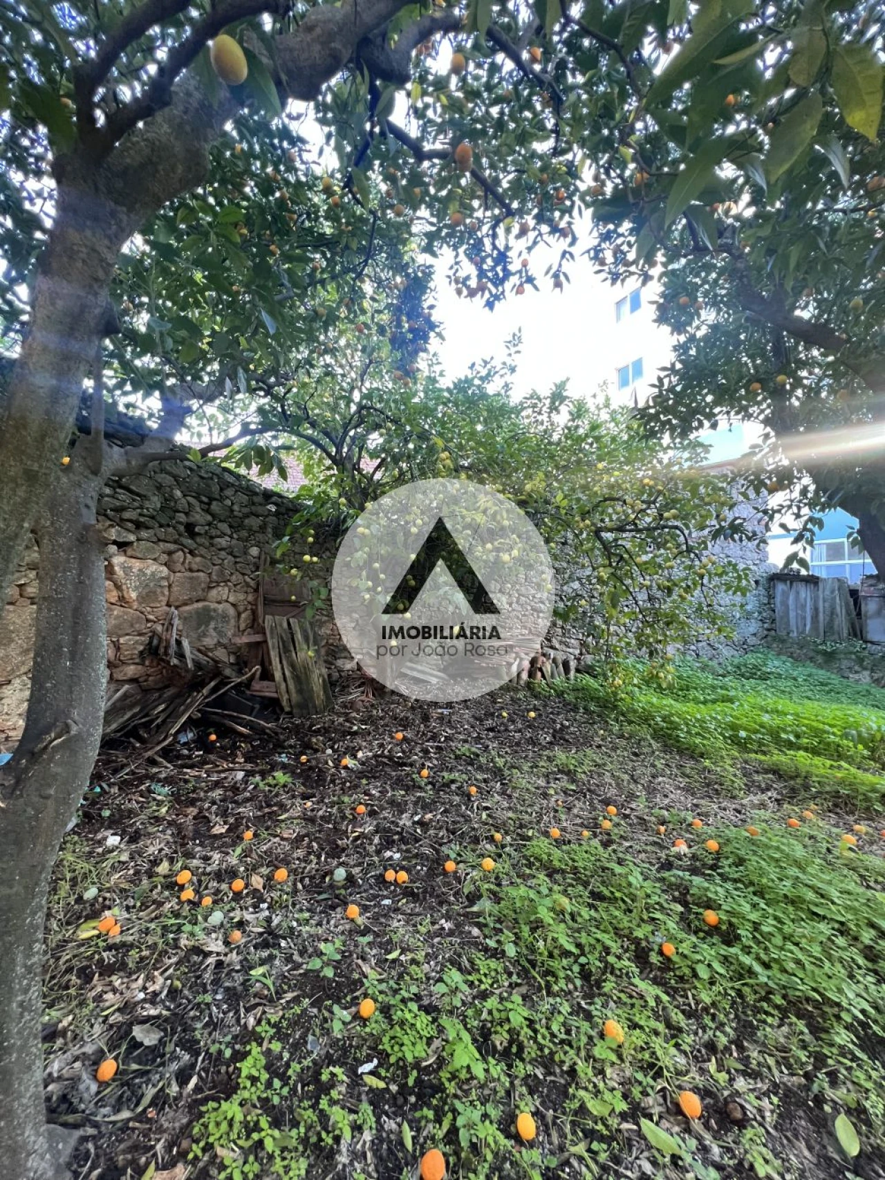 Moradia T3 para Venda em Castelo Branco Foto 19