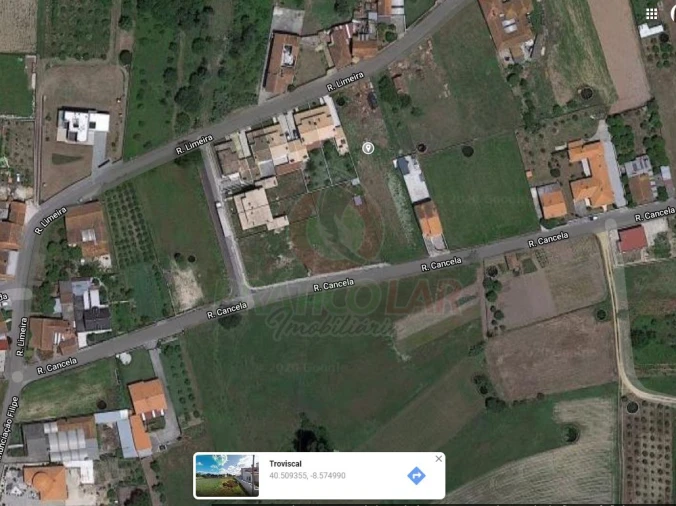 Terreno para Venda em Bustos, Troviscal e Mamarrosa Foto 3