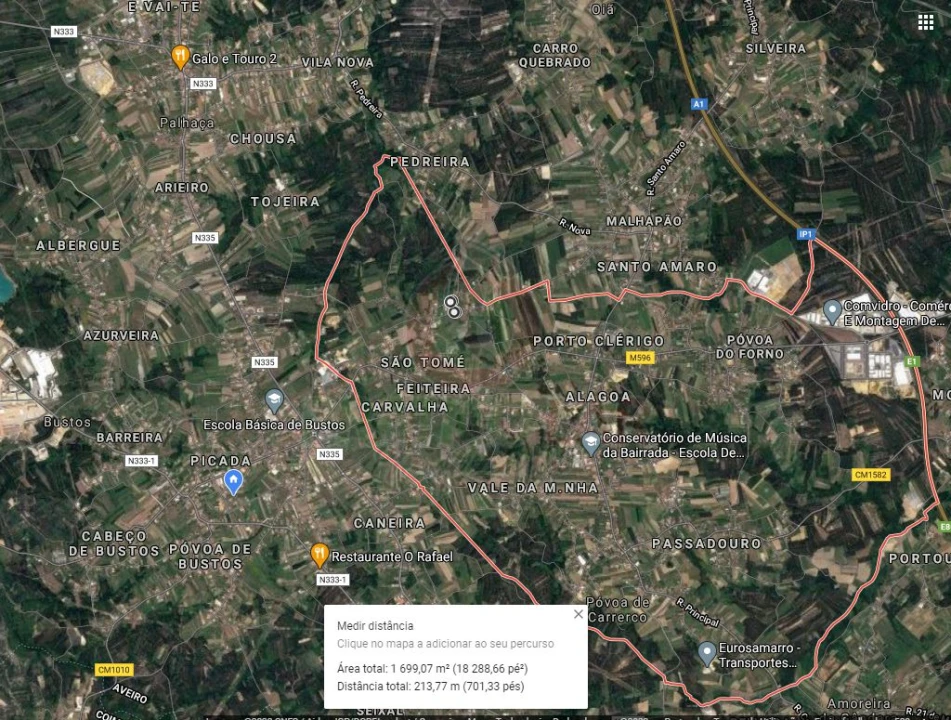 Terreno para Venda em Bustos, Troviscal e Mamarrosa Foto 10