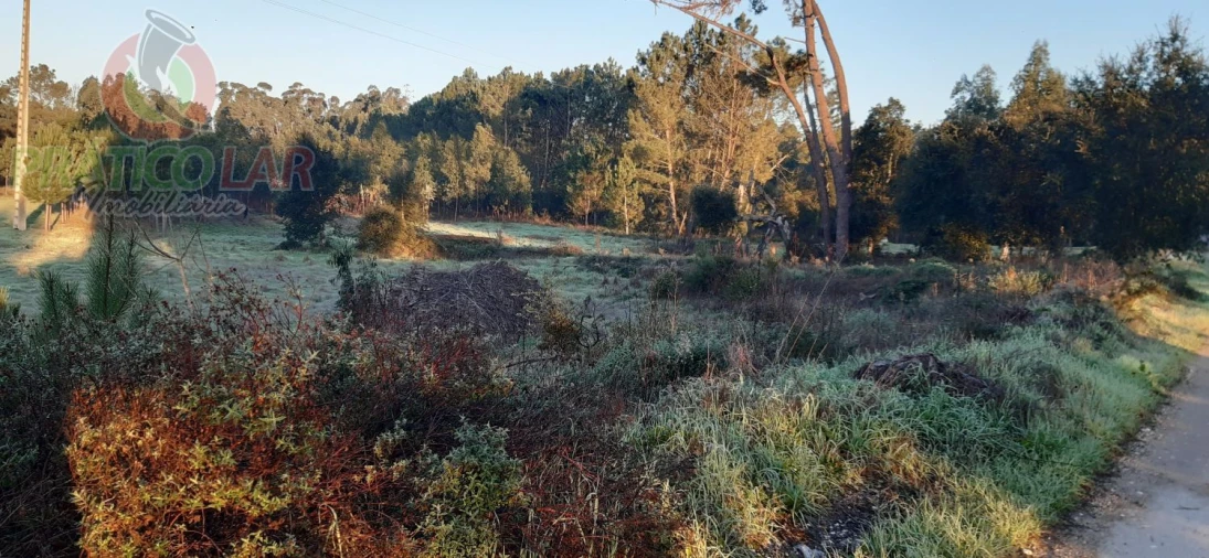 Terreno para Venda em Oliveira do Bairro Foto 1