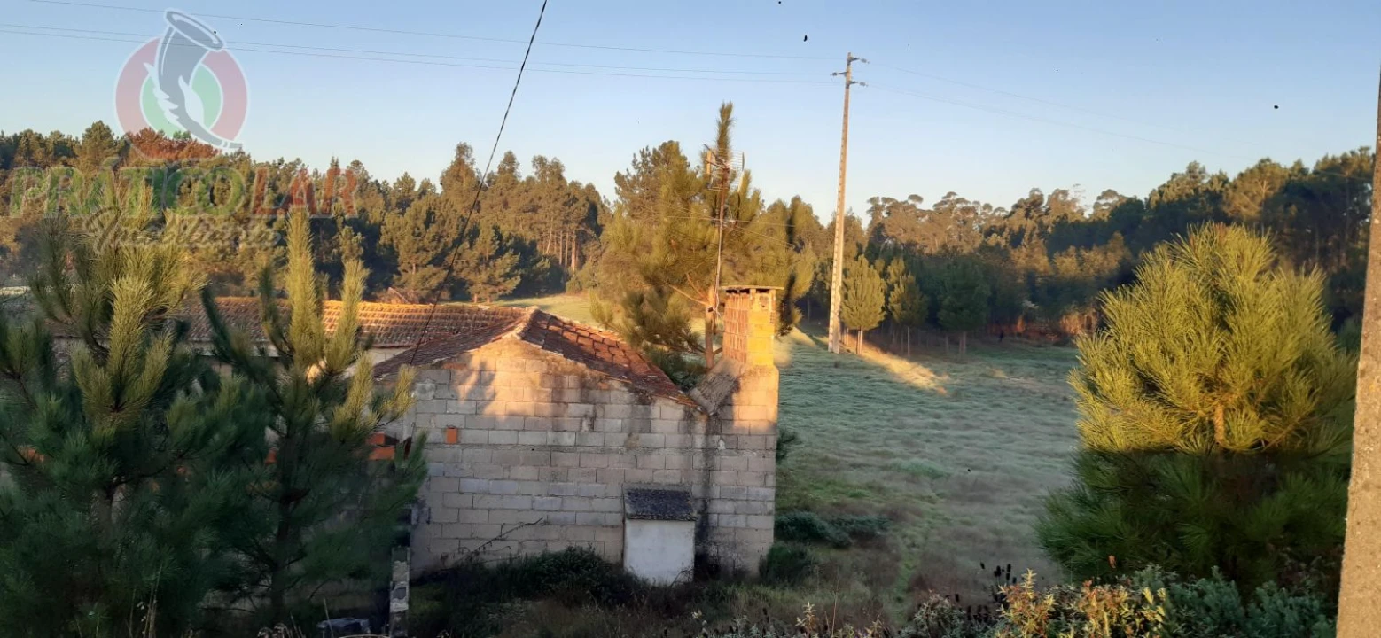 Terreno para Venda em Oliveira do Bairro Foto 5