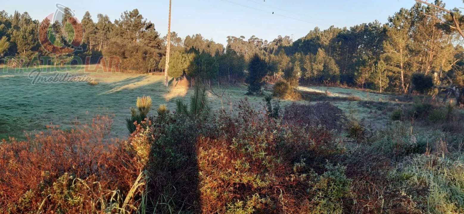 Terreno para Venda em Oliveira do Bairro Foto 2