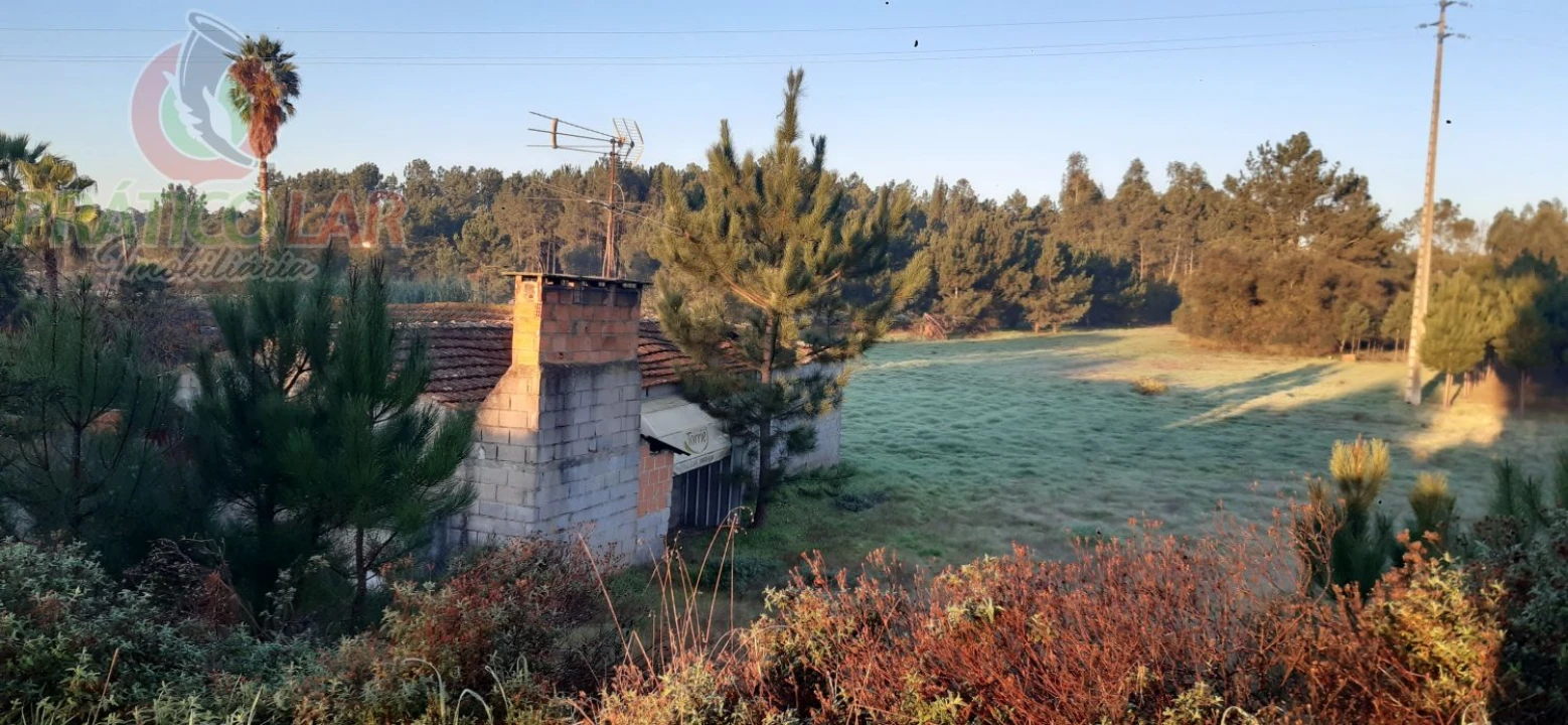 Terreno para Venda em Oliveira do Bairro Foto 4