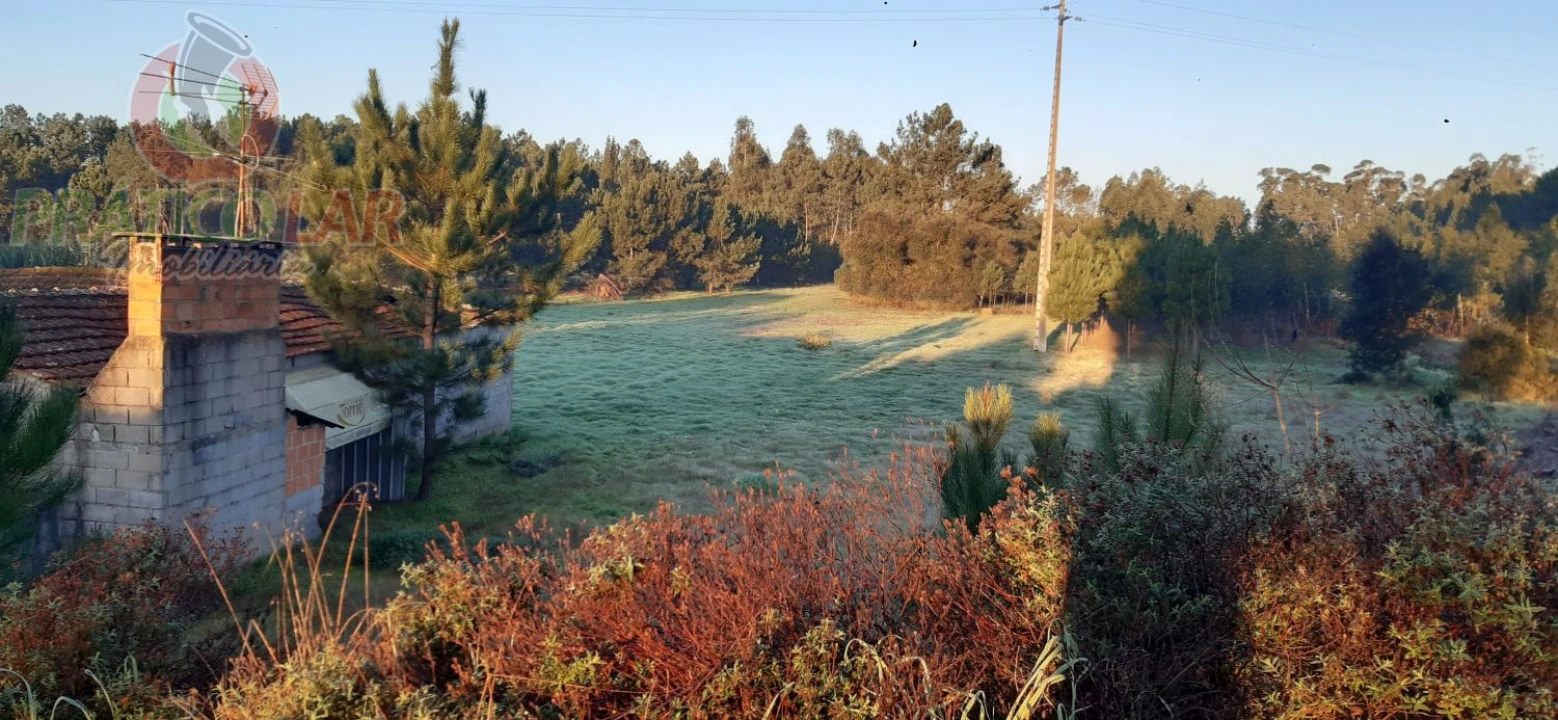 Terreno para Venda em Oliveira do Bairro Foto 3