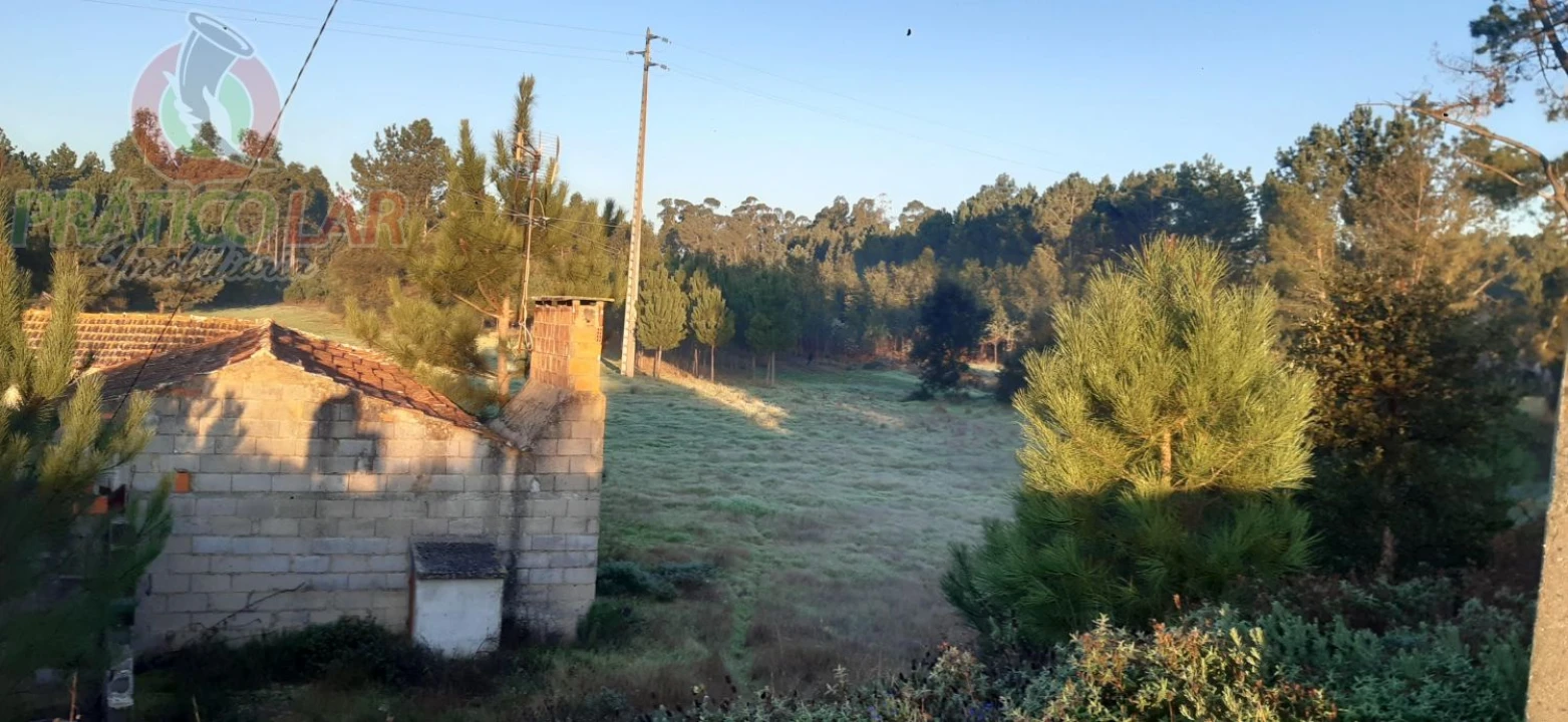 Terreno para Venda em Oliveira do Bairro Foto 8