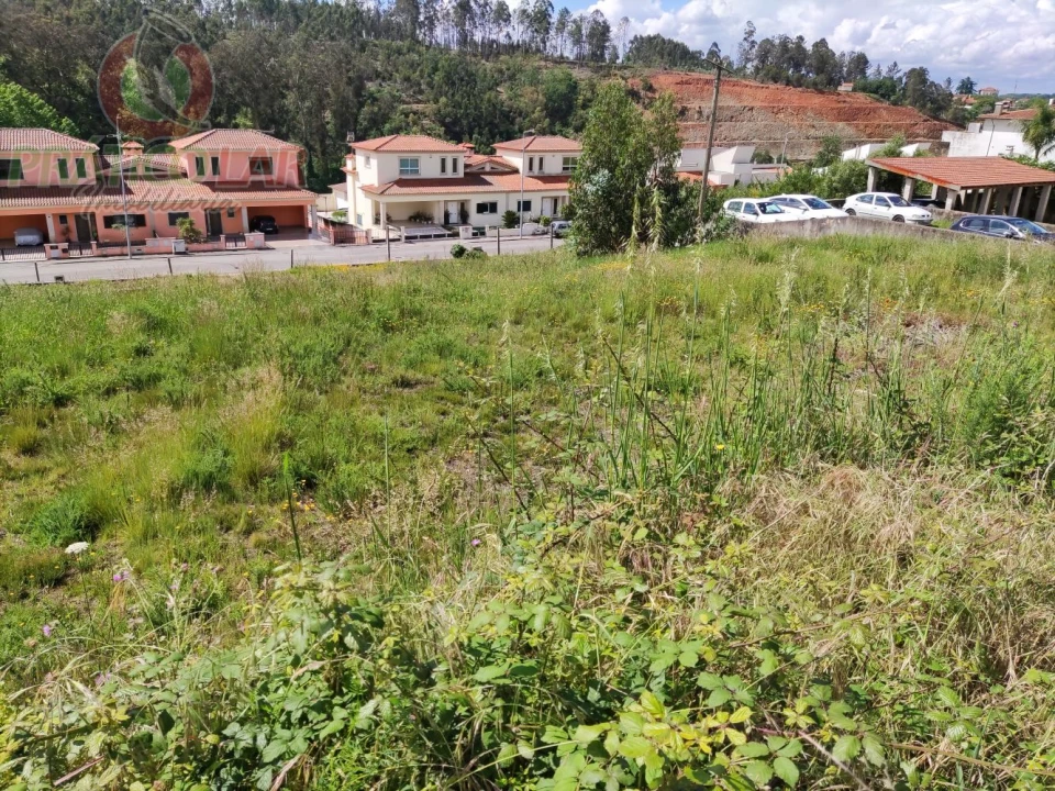 Terreno para Venda em Águeda e Borralha Foto 3