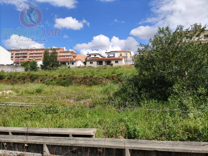 Terreno para Venda em Águeda e Borralha Foto 16