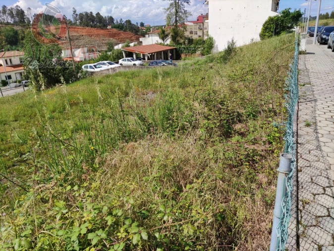 Terreno para Venda em Águeda e Borralha Foto 4