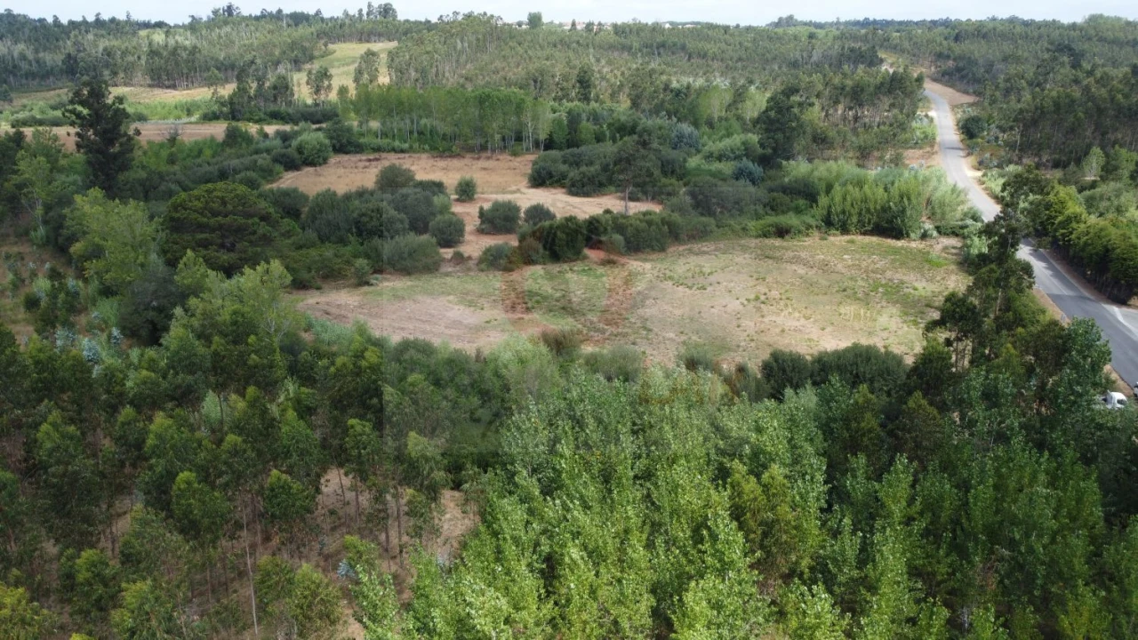 Terreno para Venda em Ouca Foto 11