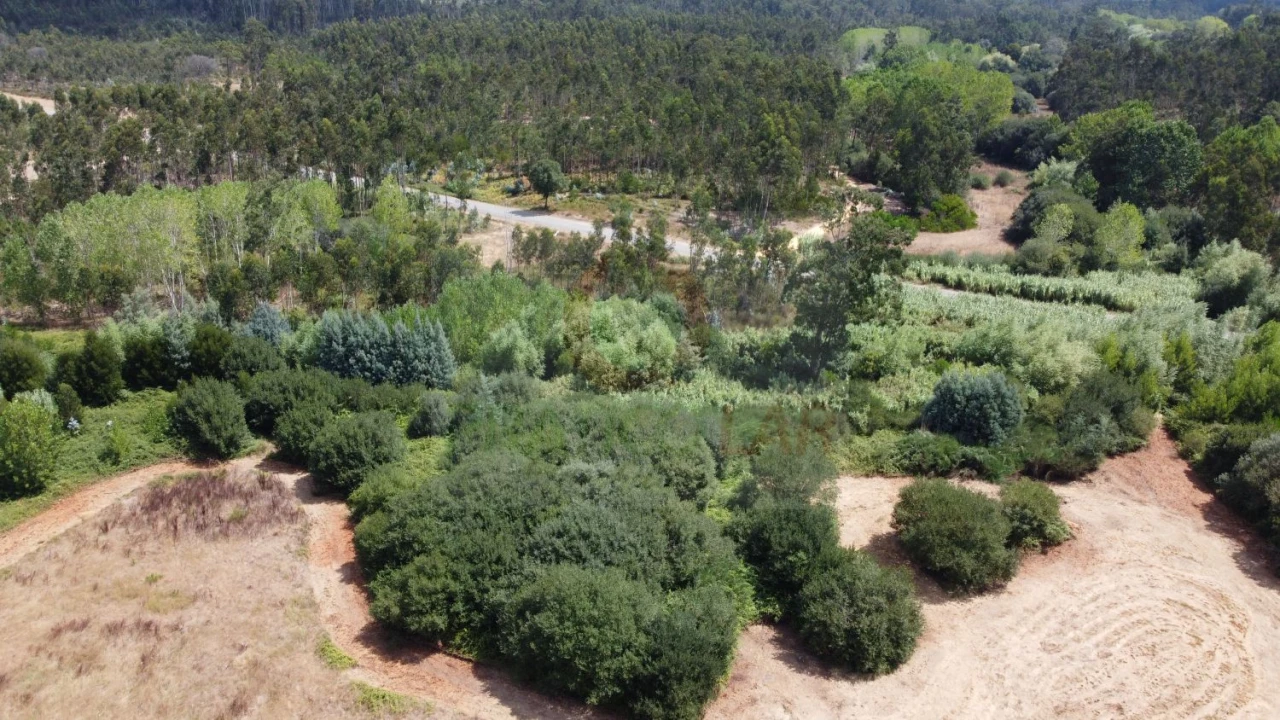 Terreno para Venda em Ouca Foto 3