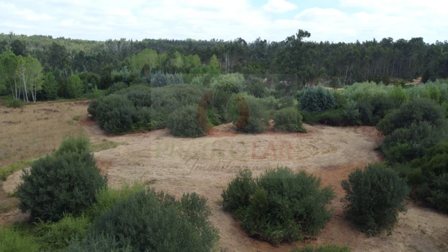 Terreno para Venda em Ouca Foto 13