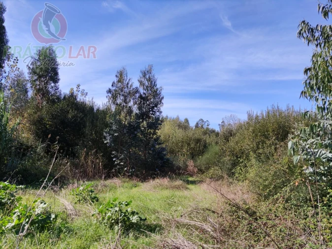Terreno para Venda em Ouca Foto 20
