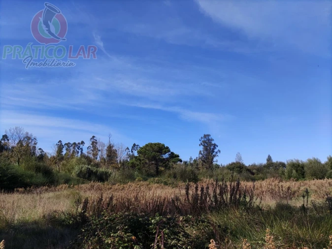 Terreno para Venda em Ouca Foto 25
