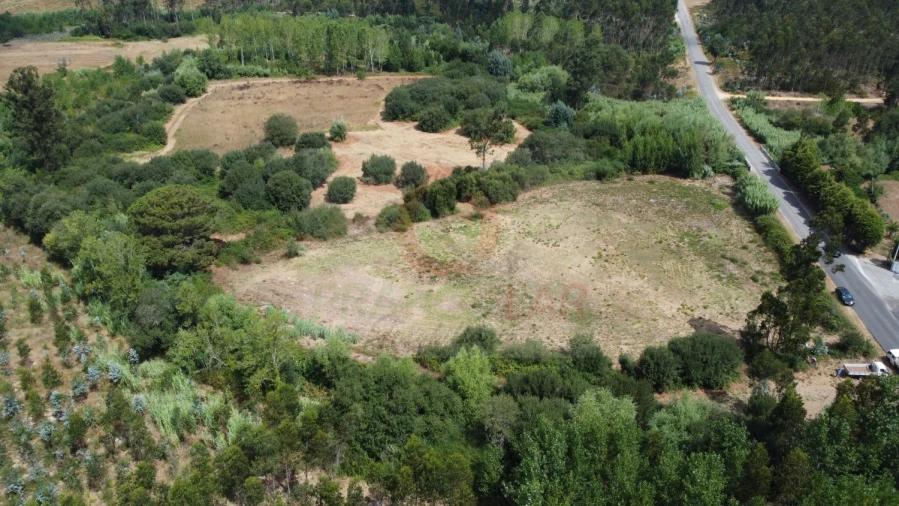 Terreno para Venda em Ouca Foto 4