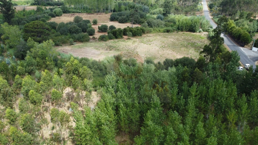 Terreno para Venda em Ouca Foto 10