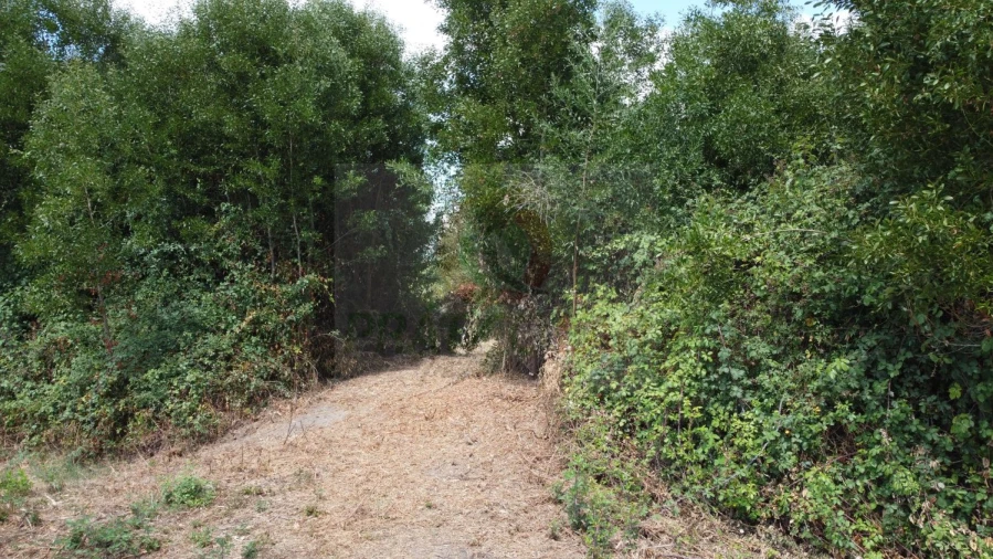 Terreno para Venda em Ouca Foto 17