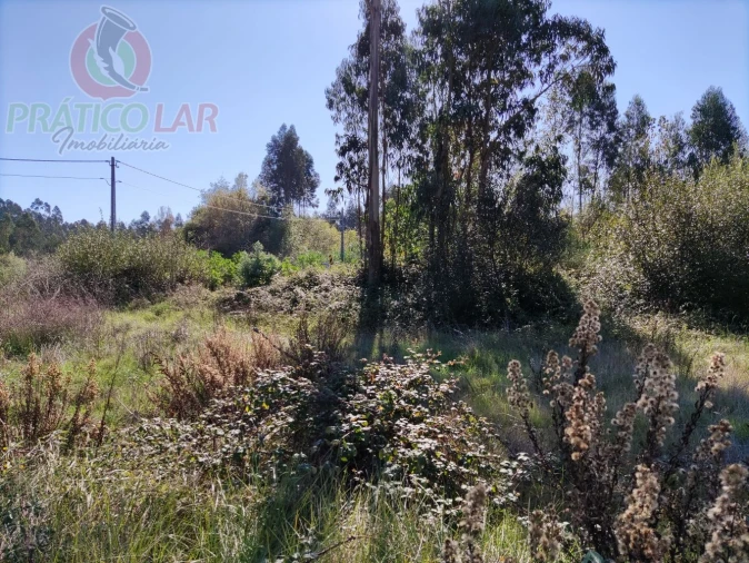 Terreno para Venda em Ouca Foto 24