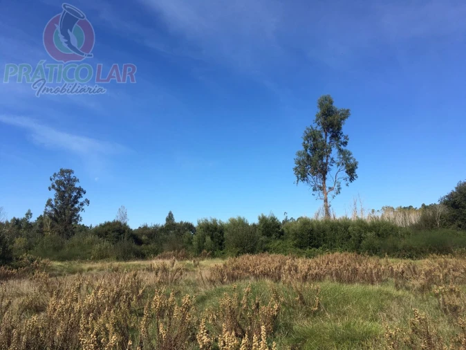 Terreno para Venda em Ouca Foto 32