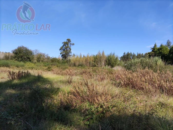 Terreno para Venda em Ouca Foto 23