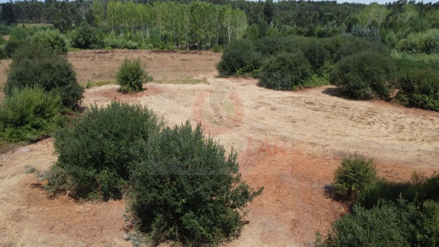 Terreno para Venda em Ouca Foto 18