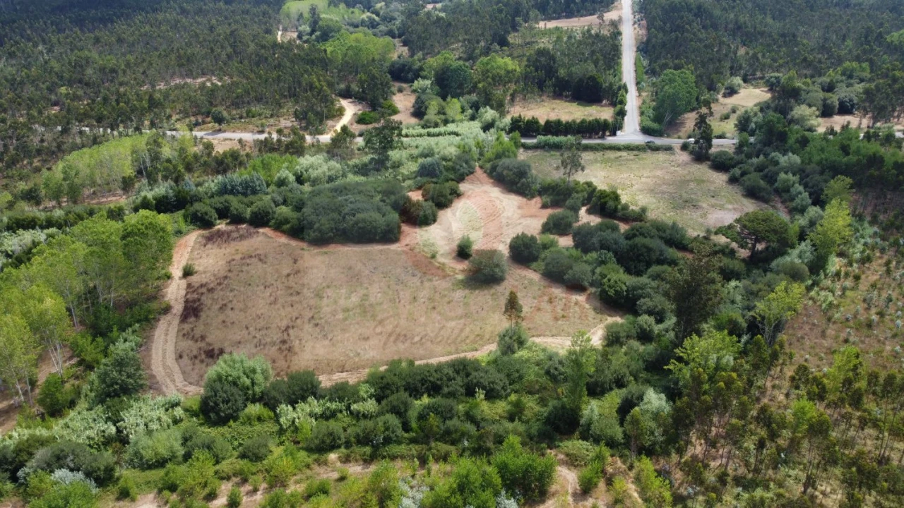 Terreno para Venda em Ouca Foto 6