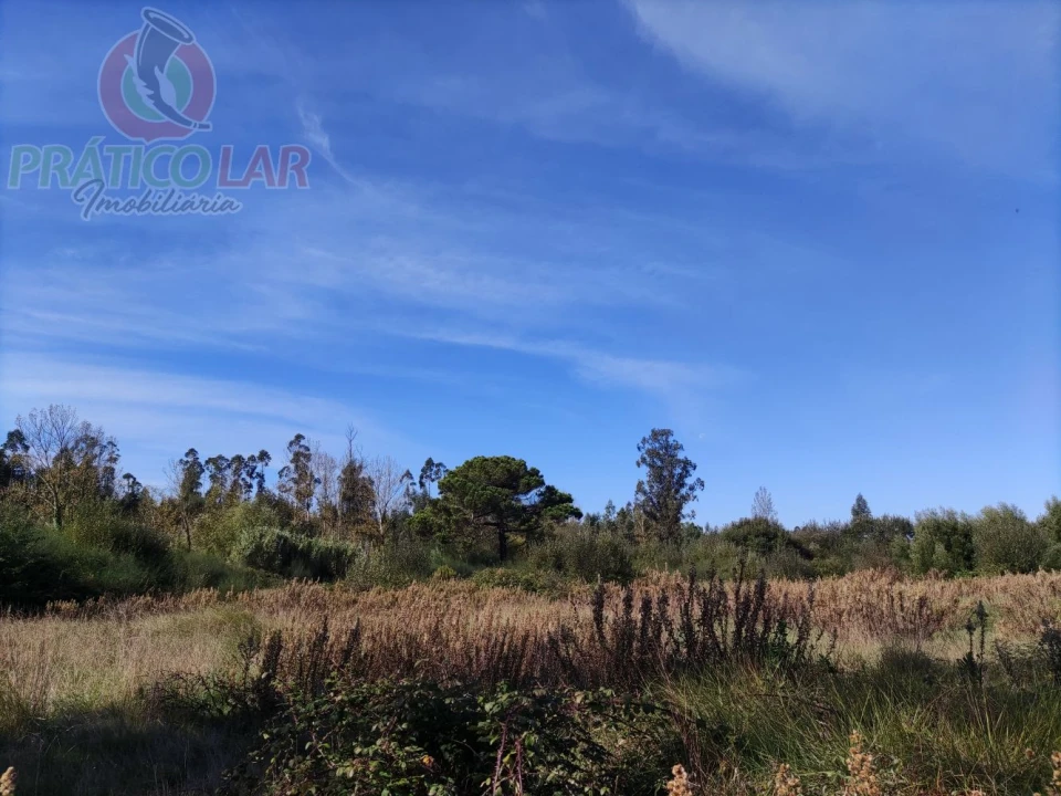 Terreno para Venda em Ouca Foto 25